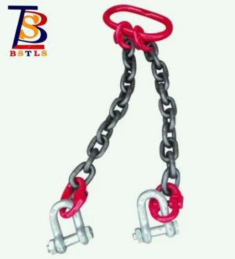 High Quality Alloy Steel Two Legs Lifting G80 Chain Sling
