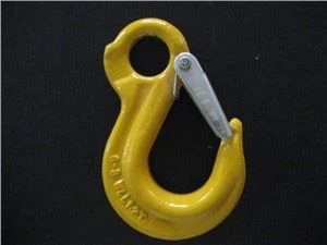 G80 Eye Slip Hook